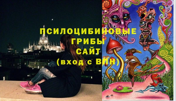 МДПВ Карпинск