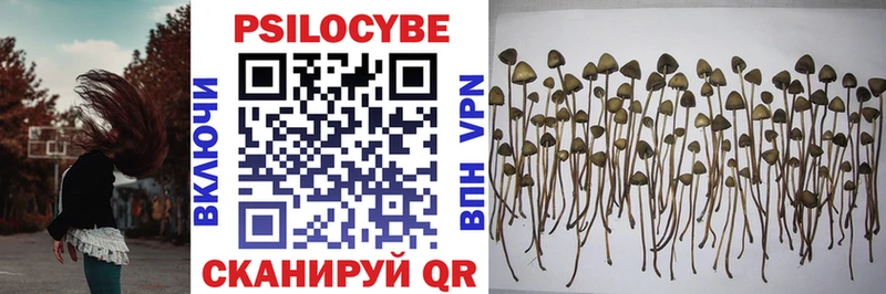 Галлюциногенные грибы Cubensis Купить Амурск