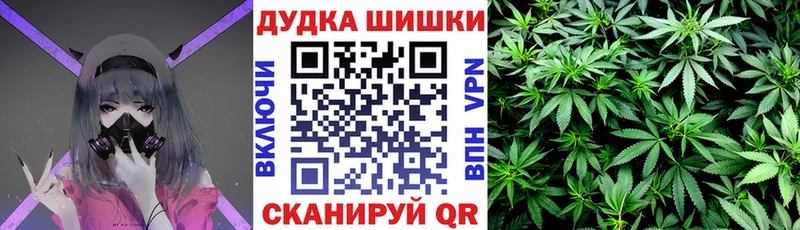 Канабис план Купить закладки Амурск
